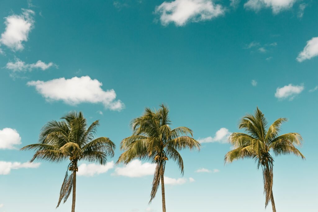 Summer background 8: sun, sea or beach