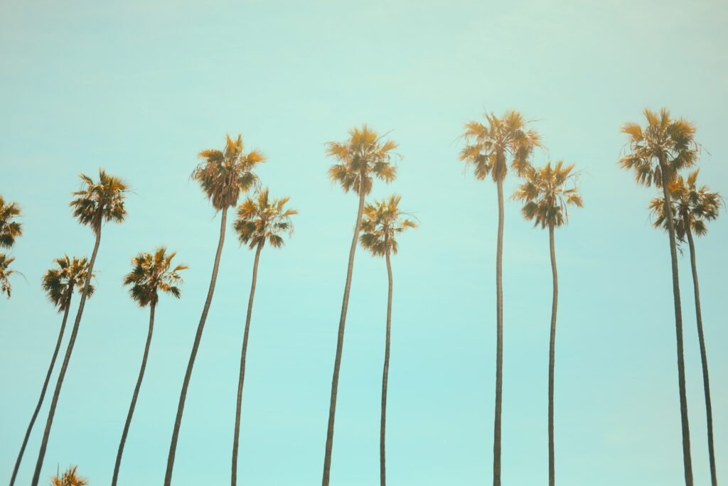 Summer background 11: sun, sea or beach