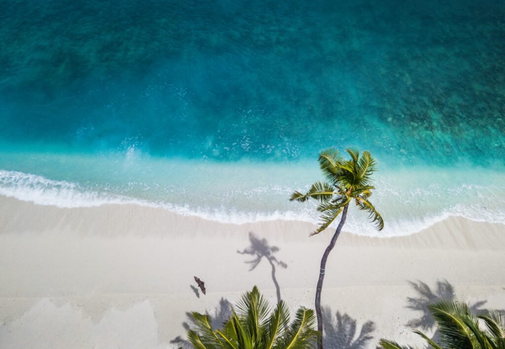 Summer background 5: sun, sea or beach