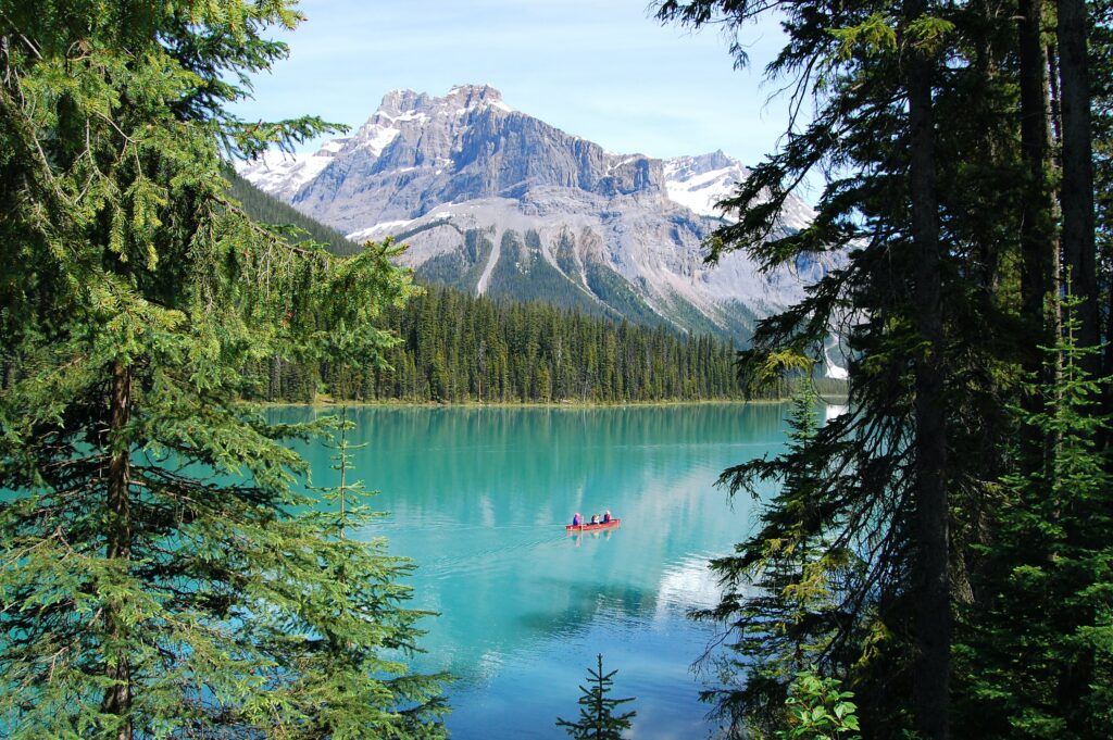 Canada glacier zwemmen duiken water kano kayak gans