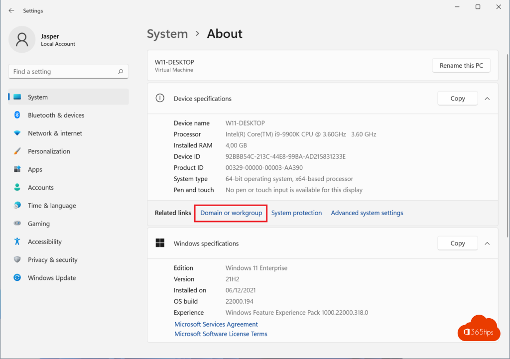 Windows 11 Domain or workgroup