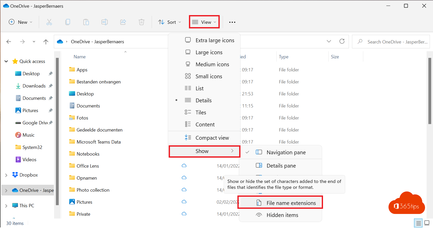 🖵 Hoe bestandsextensie weergeven in de verkenner | Microsoft Windows 11
