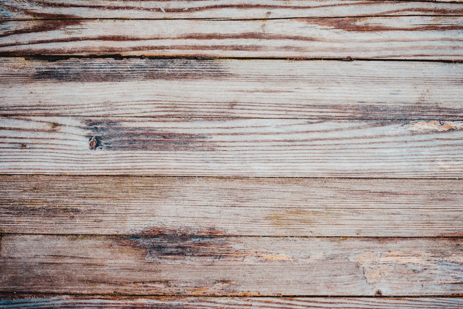 Hout. Bomen.