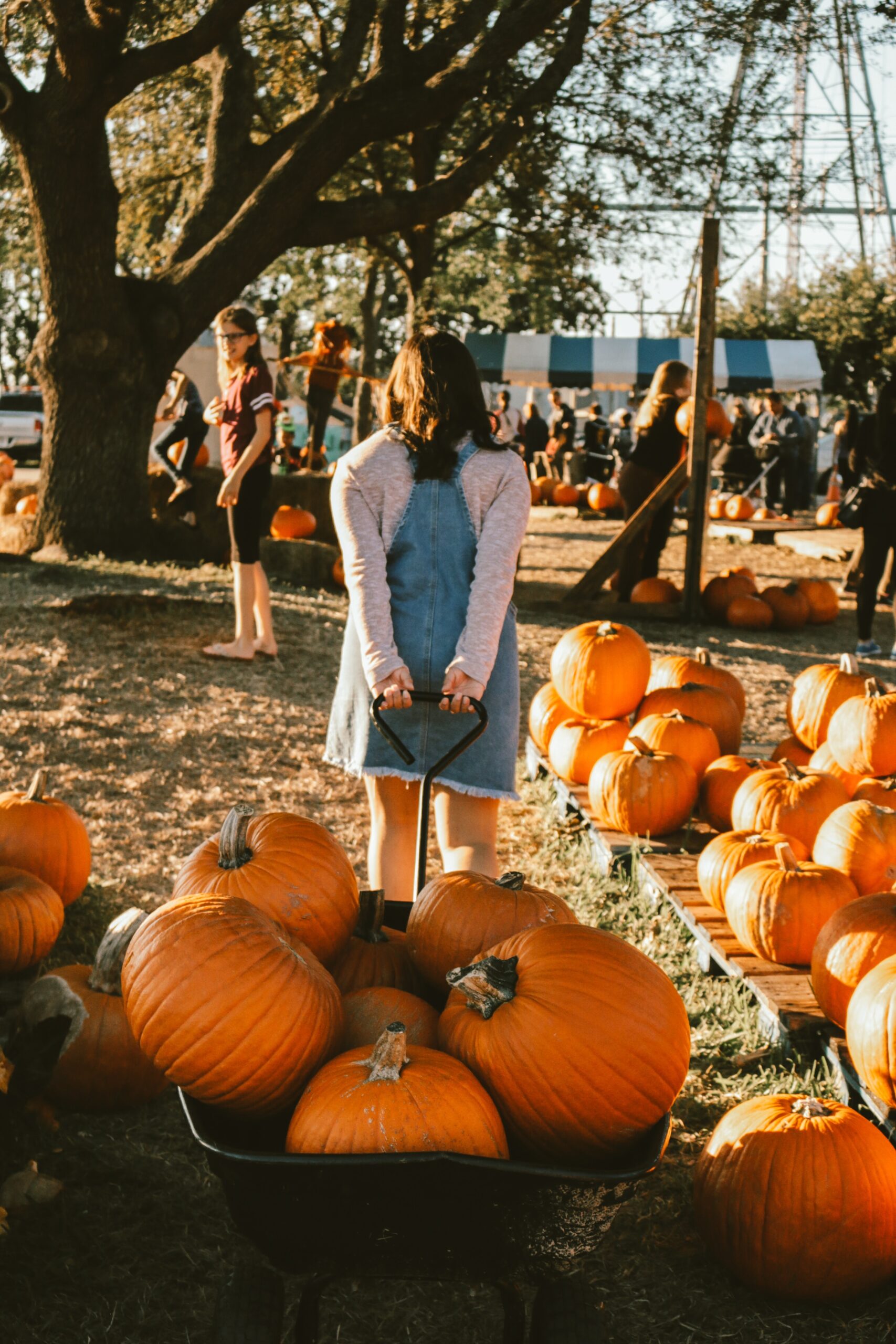 Festival. Meisje. Vrouw. Sfeer. Voetbal. Gelukkig. Plezier. Sfeer. Thanksgiving. 